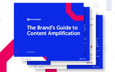 The Brand’s Guide to Content Amplification